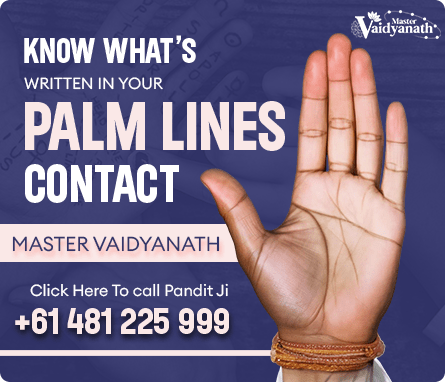 palm-lines-co